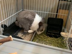 -小意思咖啡店(草桥店)