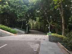 -深圳国际园林花卉博览园