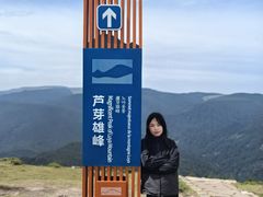 -芦芽山旅游度假区