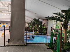 -大连金石滩绿发温泉假日酒店