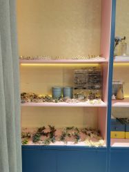 -爱儿美儿童摄影(朝阳公园店)