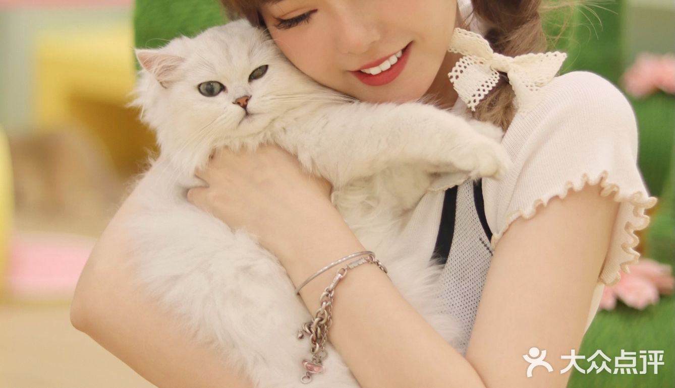 猫咖探店，和猫咪一起分享下午茶。