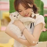 猫咖探店，和猫咪一起分享下午茶。