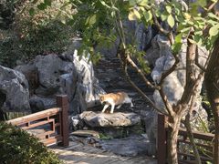 -南京市民俗博物馆(甘熙故居)