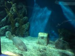 -福州罗源湾海洋世界旅游区