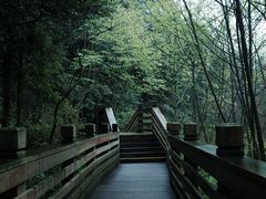 -青城山