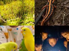 -国贸中心·国贸大厦三期