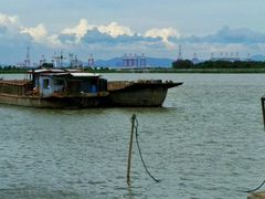 -大湾区中央湿地公园-十九涌