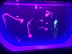 -乌鲁木齐海洋馆
