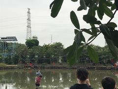 -长洲岛