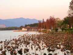 -飞来湖湿地公园