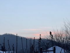 -横道河子东北虎林园