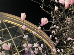 -中粮·祥云小镇