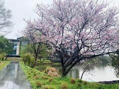 -木守西溪溪隐餐厅
