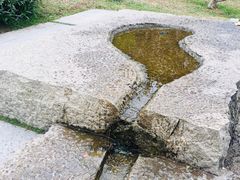-火炉山森林公园