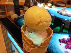 -视界美食自助餐厅·石家庄希尔顿酒店