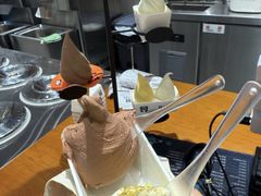 -野人先生现做冰淇淋(北京环宇荟店)