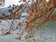 -江西阳明山国家森林公园