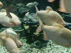 -多彩贵州城极地海洋世界