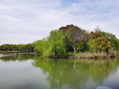 -新江湾城公园
