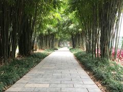 -堤角公园