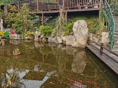 -耕渔小院·湖南鱼鲜(望城店)