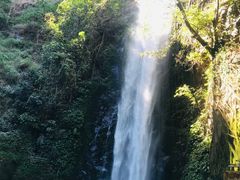 -莫里热带雨林景区