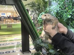 -开元商城(西旺店)