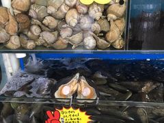 -蚝专家(北滘店)