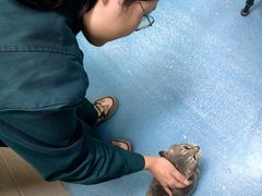 -仁华宠物医院(青羊店)