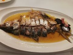 -福1015(愚园路店)