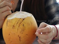 -兴隆槟榔园休闲农庄