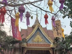-西双版纳傣族园