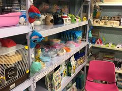 -钓仓鼠(洋桥北里小区店)