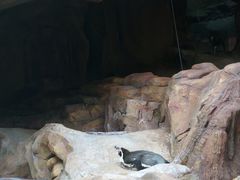 -长鹿旅游休博园