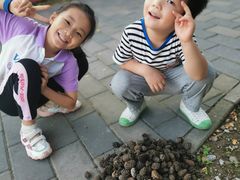 -阳台山自然风景区