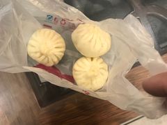 猪肉茴香-庆丰包子铺(青龙桥店)