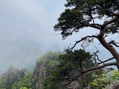 -大连天门山国家森林公园