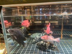 -璞御·海鲜·雪花牛肉局(宾水西道店)