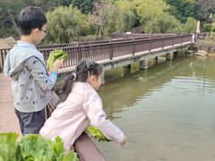 -厦门悦华酒店
