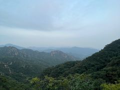 -大岭沟猕猴桃谷风景区