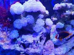 -多彩贵州城极地海洋世界