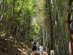 -敬亭山风景名胜区