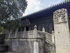 -大觉寺-停车场