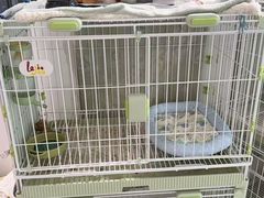 -小呆的宠物店·宠物售卖·宠物寄养(城西店)