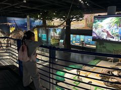 -国家自然博物馆