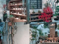 -自由生长植物工作室(深港花卉中心店)