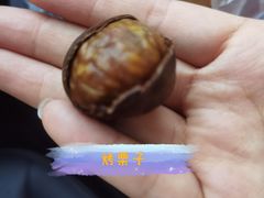 小宝栗子-小宝栗子(嘉华国际商业中心店)