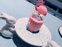 美人鱼芝士-随心小姐