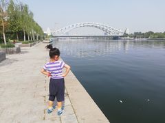 -海河游船-永乐码头(大悲院)
